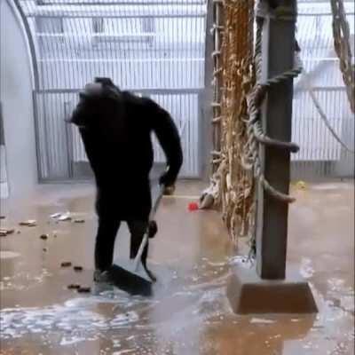 Not sure if this was posted in this subreddit before.