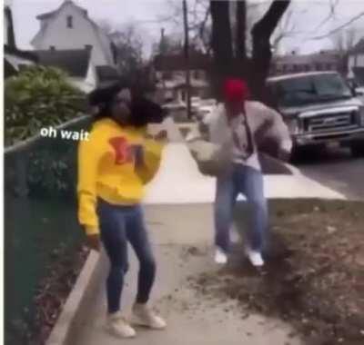 me trying to get my friends to listen to tally hall (oc/reupload)