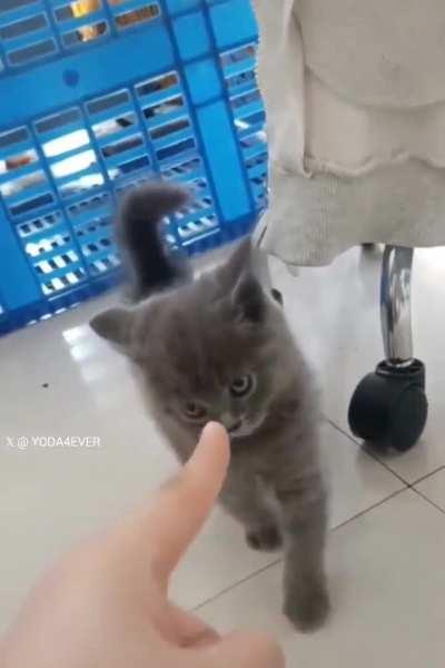 How dare you point at me.