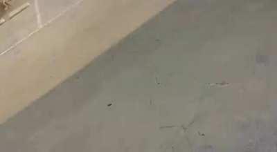 MASSIVE explosion in Beirut