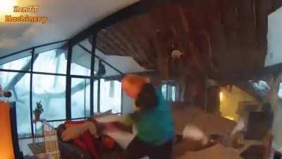 Trees don't fuck around