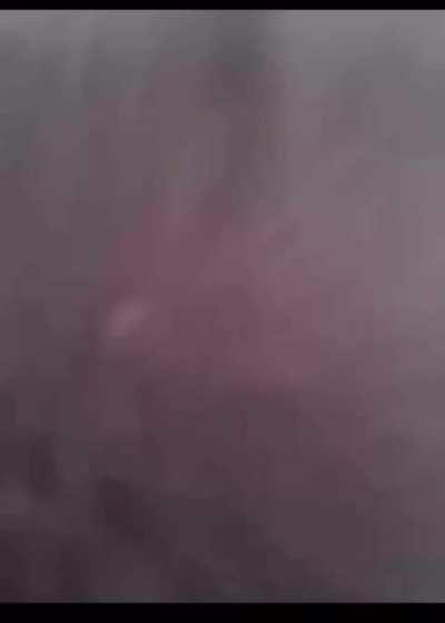 She loves using your face as a chair