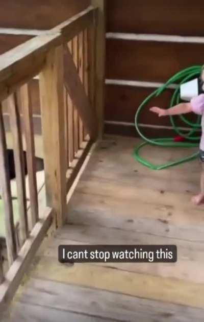 I’m gonna pet dog.