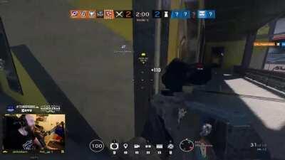 Making friends through glass...