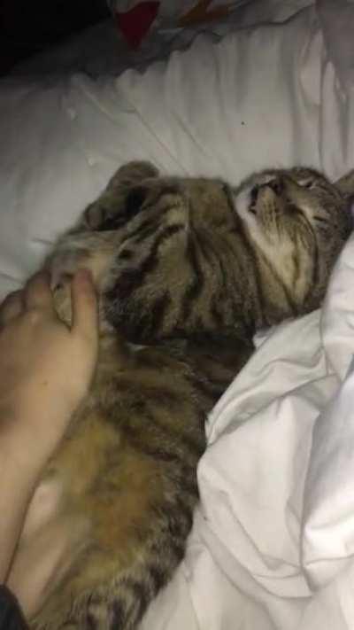 Late night cuddles with my husbando