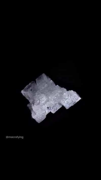 Macrofying salt shot