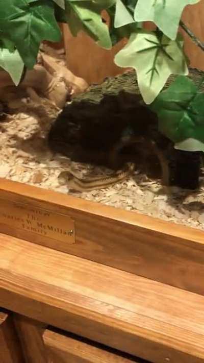 No thoughts. Head empty