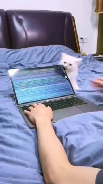 Watching the Game and Then....