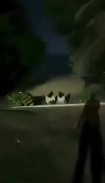 Swiss man kicks Thai local for sitting on the stairway of his luxury villa near the beach  in Phuket, Thailand, before this video emerged and went viral, he lied that he just slipped on the stairway. 