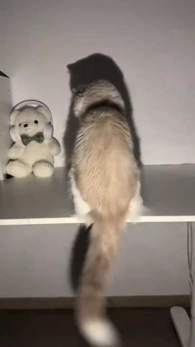 Let’s dance together