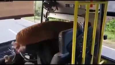 Гоп-стоп по индийски