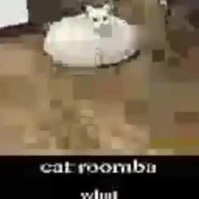 How to get free robux (OMG REALLY WORKS)