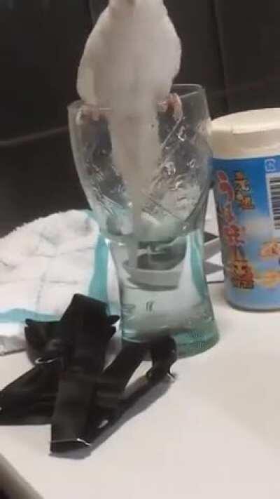 Just gonna take a quick sip