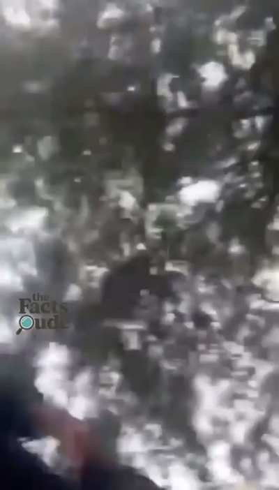 South Carolina Deputy suspended after terrorizing white teenagers.