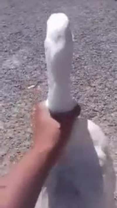 Napıyorsun lan😡😡😡😡🤬