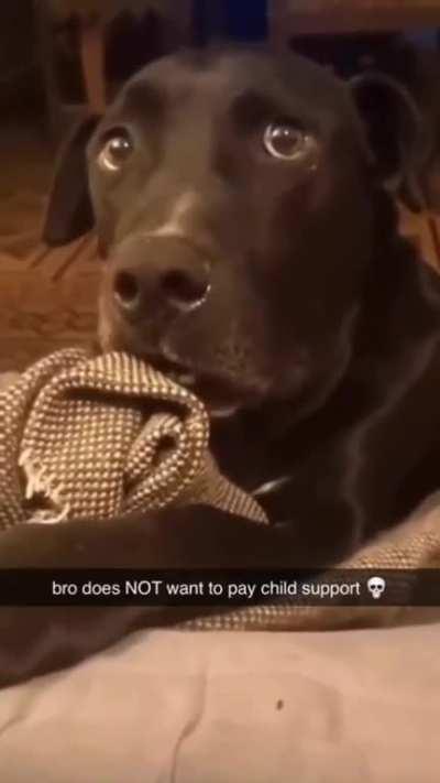 Nah the reaction got me