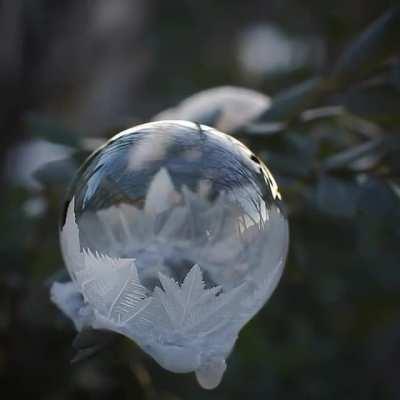 Soap bubble freezes in real time