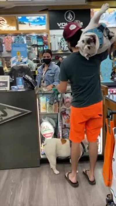 Big boi got some time out after barking in a store