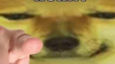 Averge cheems enjoyer v2, extended version