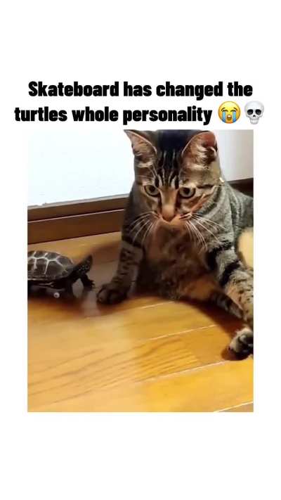 Skateboard changed turtles whole personality