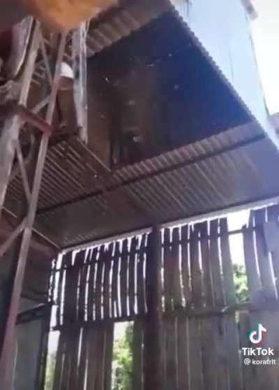 Removing a wasp nest in style.