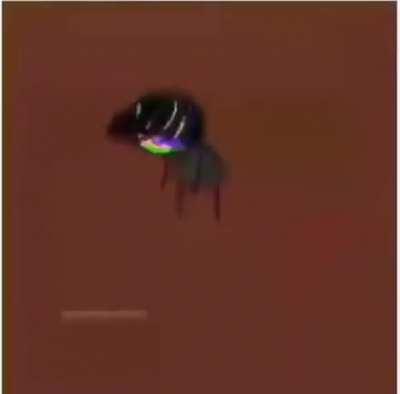 Listening to Gojira on shuffle