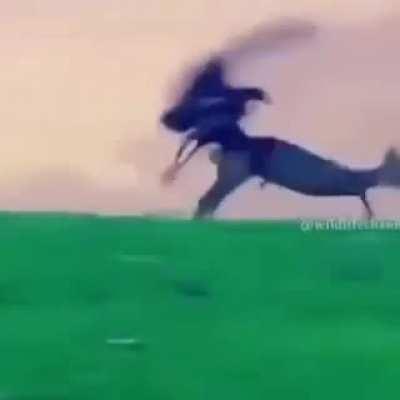 Catching a Deer with an Eagle!