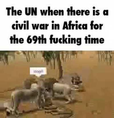 The UN