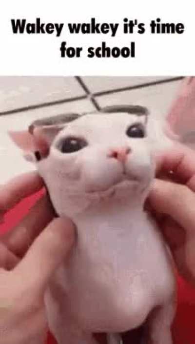 Sunday’s end approaches. Good luck Europeans