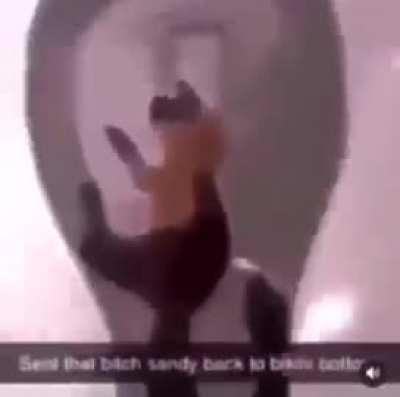 Moldy enough I suppose