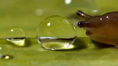 Если этим безмятежным утром вас беспокоит вопрос: 