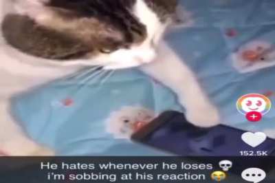 I am back with more silly cate