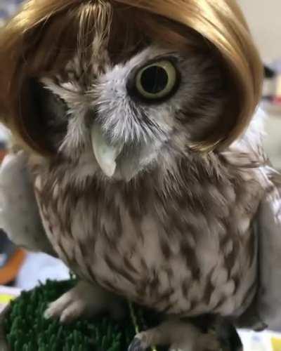 I just happened to be watching when this popped up