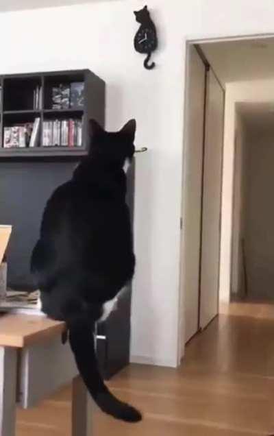 Curiority doesnt necessarily kill a cat