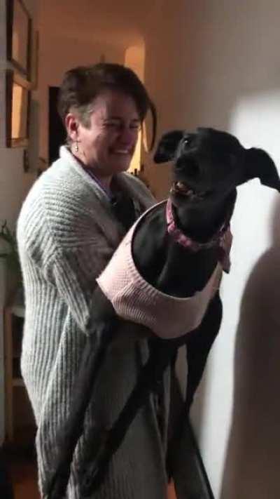 my mum’s dog had to go to the vet. she came back very, very high.