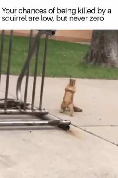 You can step up and catch these paws, playa