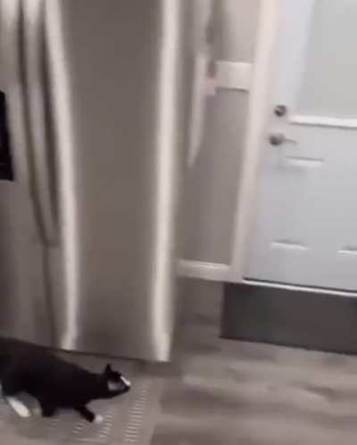 Tried to catch the bug for the first time