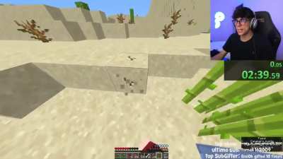 Quando devi per forza studiare