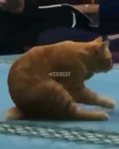 Show off infront of girls