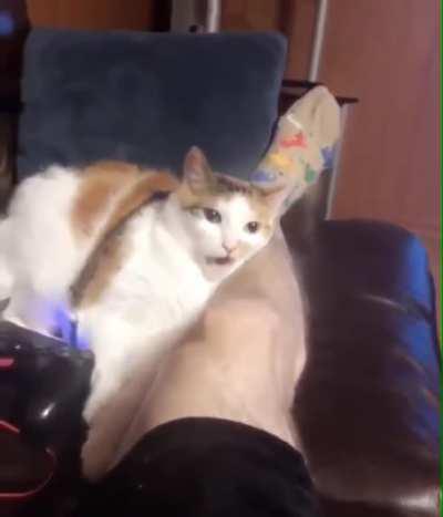 Please stop moving your leg.