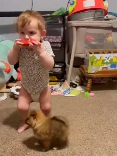 The Amazing Awoo Duo