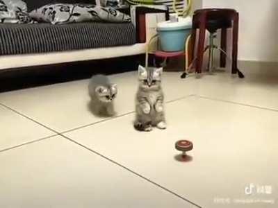 Don't touch that !!!