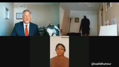 to look professional during the online meeting