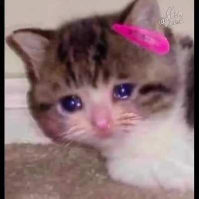 El pibe que no le toco una sub en el extensible: