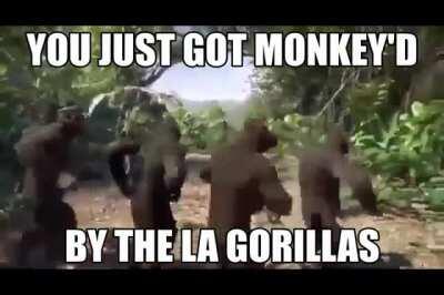 I'm sorry, Paris. But you have been MONKEY'd by Cheen's Gorillas.