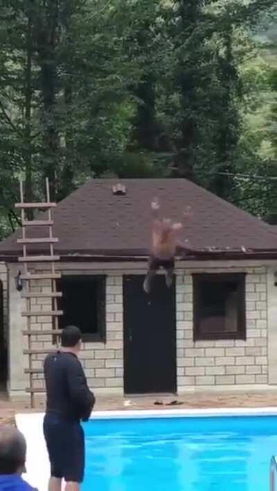 Trying to jump into a pool