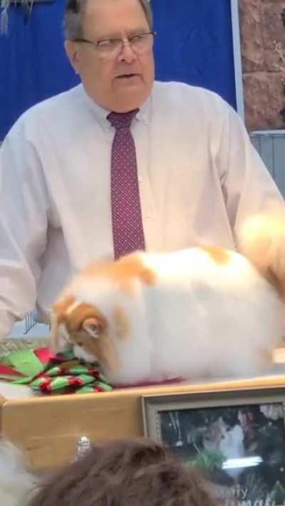 This show was great.