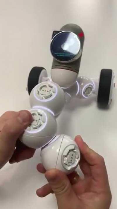 My weird robot-people need me