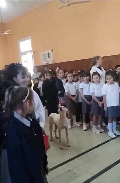 Que hermoso como canta el himno el perrito