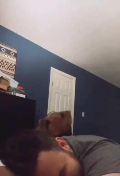 Hey, get up, it's time to go for a walk